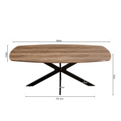 Table Aziz ovale 200cm mango