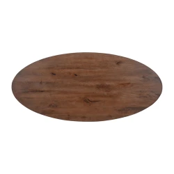 Table Tommy ovale pied spider 220cm brun