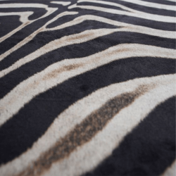 Tapis Zebra