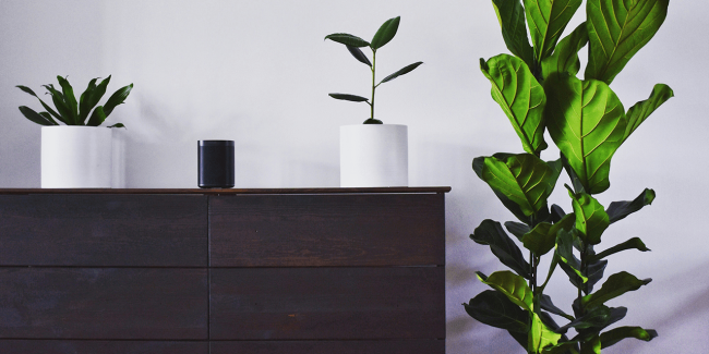 Quels sont les différents types de buffet ?