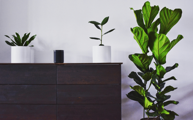 Quels sont les différents types de buffet ?